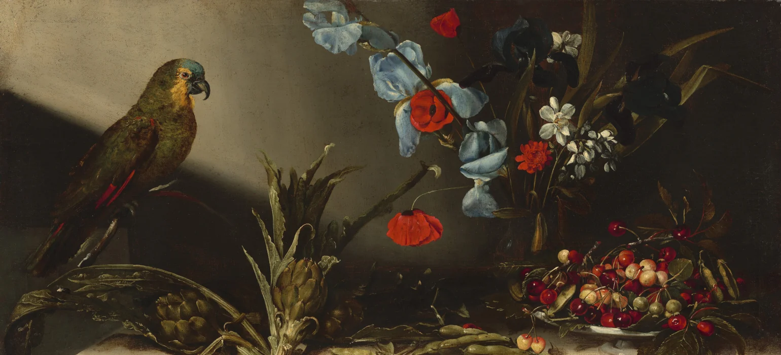 A still life painting. One the left side of the image, a parrot stays perched on a table; to the right the table is covered in artichokes, cherries, and light blue, red, and white flowers. The scene is lit from the top left with a gentle diagonal of light, contrasted with deep shadow.